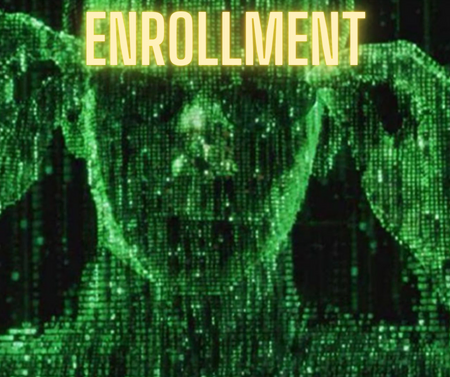 Increase school enrollment - Truth Tree digital marketing