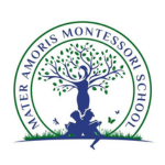Truth Tree Enrollment Marketing | Private School Education Marketing | Mater Amoris Montessori School | Montessori School Marketing
