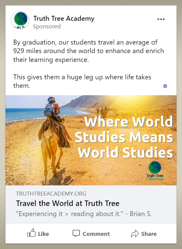 data-driven enrollment marketing - Truth Tree School Marketing Agency